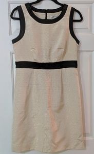 Classic Summer Shift Dress